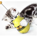 Pet Accessories Cat Training Food Bowl Cat Ball Toys Pet Toys